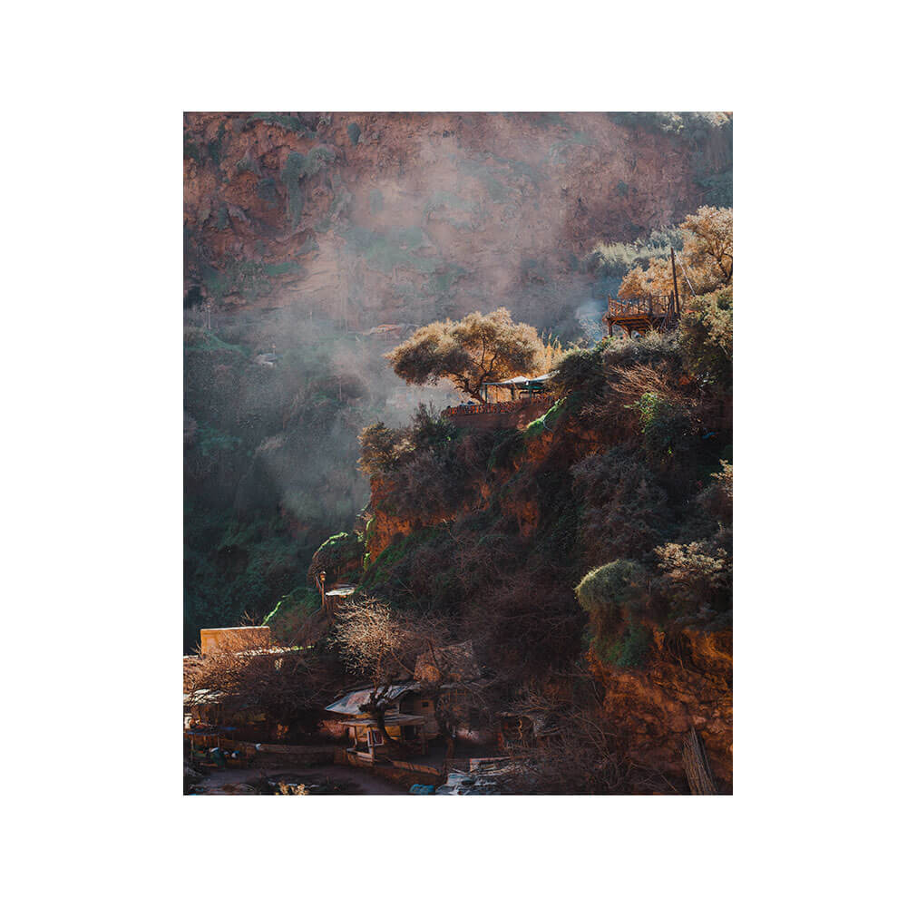 Bosque Nevado (cópia) - Imagem 3